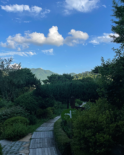 d9b7c9434add5c225eaaa7cc13bc74b0_1707891409_8684.jpg d9b7c9434add5c225eaaa7cc13bc74b0_1707891409_8684.jpg