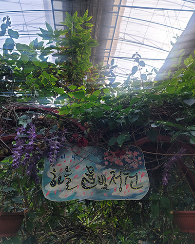 d9b7c9434add5c225eaaa7cc13bc74b0_1707891967_8805.jpg d9b7c9434add5c225eaaa7cc13bc74b0_1707891967_8805.jpg