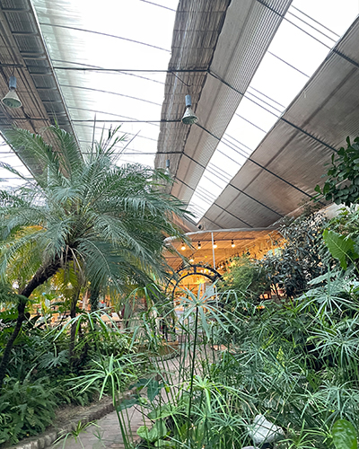 d9b7c9434add5c225eaaa7cc13bc74b0_1707891969_3181.jpg d9b7c9434add5c225eaaa7cc13bc74b0_1707891969_3181.jpg