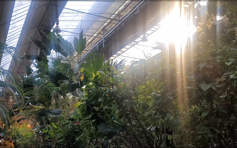 d9b7c9434add5c225eaaa7cc13bc74b0_1707891994_5303.jpg d9b7c9434add5c225eaaa7cc13bc74b0_1707891994_5303.jpg