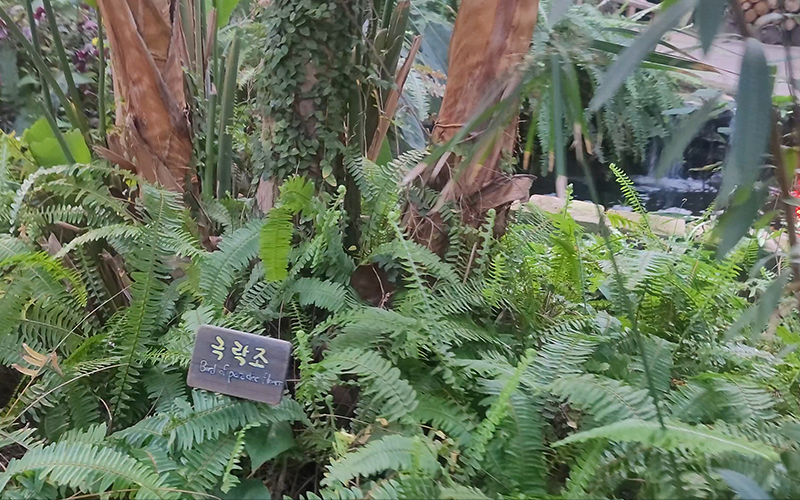 d9b7c9434add5c225eaaa7cc13bc74b0_1707892025_102.jpg d9b7c9434add5c225eaaa7cc13bc74b0_1707892025_102.jpg