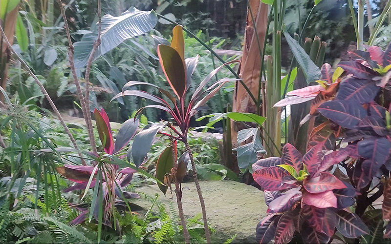 d9b7c9434add5c225eaaa7cc13bc74b0_1707892043_8997.jpg d9b7c9434add5c225eaaa7cc13bc74b0_1707892043_8997.jpg